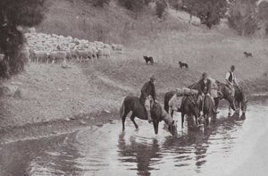 Le Repos, stockmen australiens typiques