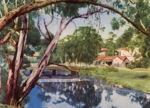 Le Ruisseau Tranquille - Photographer Australian
