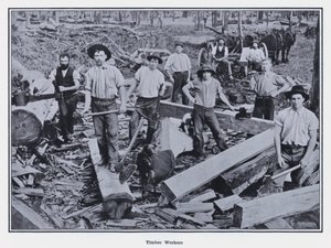 Travailleurs du bois - Photographer Australian