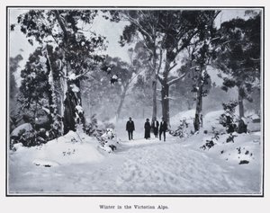 Hiver dans les Alpes victoriennes - Photographer Australian