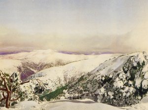 Hiver dans les Alpes victoriennes - Photographer Australian