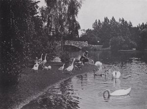 Lac, Beacon Hill Park, Victoria, Colombie-Britannique - Photographer Canadian