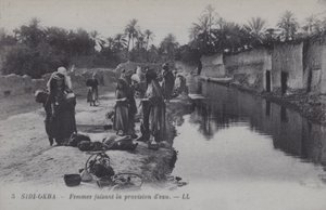 Femmes collectant de l