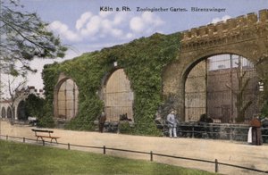Zoo de Cologne, Ours (photo)