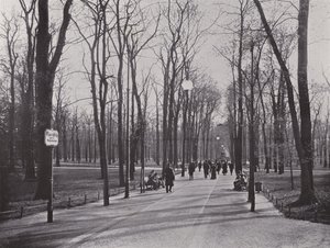 Dans le Tiergarten, Ahornsteig - Photographer German