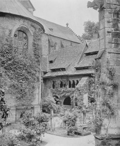 Rosenstock millénaire - Photographer German