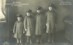 Les fils du prince héritier Guillaume d