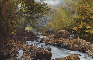 Irlande : Dans le Dargle, Comté de Wicklow - Photographer Irish