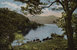 Irlande du Sud : À Innisfallen, Killarney - Photographer Irish