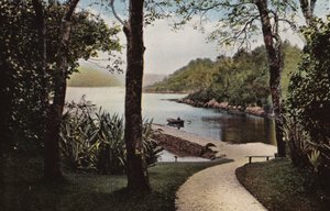 Irlande du Sud : Île de Garinish, Parknasilla, comté de Kerry - Photographer Irish