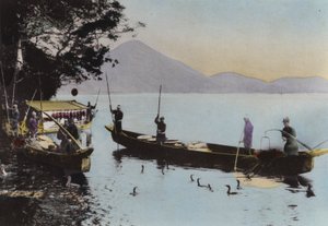 Japon, c.1912 : Pêche au cormoran, Nagaragawa - Photographer Japanese