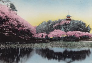 Japon, c.1912 : Sankeiyen, jardin privé de M. Hara, Honmoku, Yokohama - Photographer Japanese