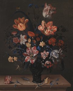 Des tulipes et d
