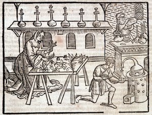 Médecine par les plantes et leurs vertus - dans « Des profits champêtres et ruraux » par Pierre de Crescent, Paris - Piero da Crescentino