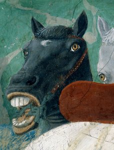 La Légende de la Vraie Croix, la Réception de la Reine de Saba par le Roi Salomon, cheval (détail)