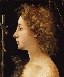 Le jeune Saint Jean-Baptiste