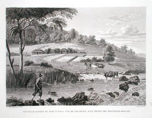 Vue de la rivière Cox à l