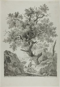 Artiste dans un paysage rocheux