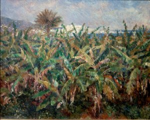 Champ de bananes - Pierre Auguste Renoir