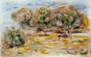 Le jardin des Collettes