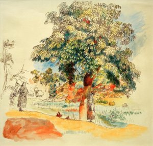 Paysage du sud