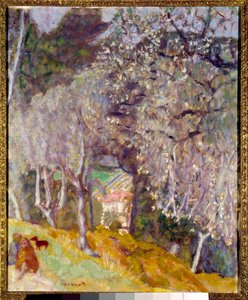 Maison dans les oliviers - Pierre Bonnard