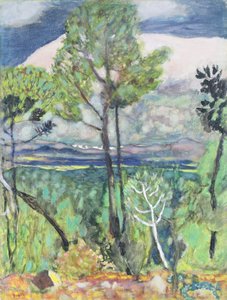 Paysage - Pierre Bonnard