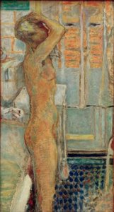 Nu gris de profil - Pierre Bonnard