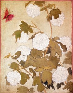 Boules de neige Fleurs Boules de neige (Viburnum Ob) et papillon rouge - Pierre Bonnard