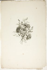 Bouquet avec des œillets, de la Collection de différents bouquets de fleurs, inventé et dessiné par Jean Pillement et gravé par P. C. Canot - Pierre Charles Canot