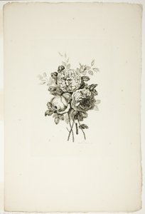 Bouquet avec Roses, de la Collection de Différents Bouquets de Fleurs, Inventés et Dessinés par Jean Pillement et Gravés par P. C. Canot - Pierre Charles Canot