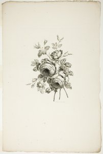 Bouquet avec des roses, de la Collection de différents bouquets de fleurs, inventé et dessiné par Jean Pillement et gravé par P. C. Canot - Pierre Charles Canot