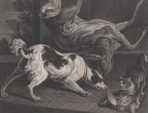 Chiens et nature morte, 1778