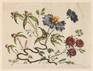 Print, Flower Boughs, from "Recueil de Differentes Fleurs de Fantaisie Dans le Goût Chinois" - Pierre Charles Canot