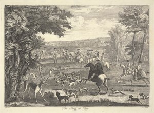 Le cerf au piège - Pierre Charles Canot