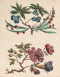 Deux branches de fleurs imaginaires
