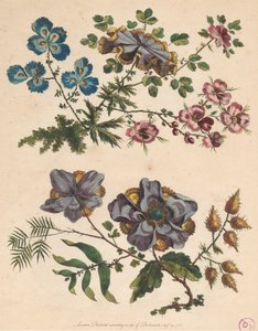 Deux branches de fleurs imaginaires
