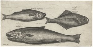 Bar, sole et saumon - Pierre Firens