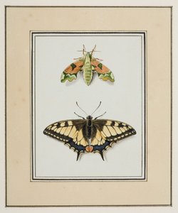Sphinx et Machaon, vers 1755-65 - Pierre Francois Ledoulx