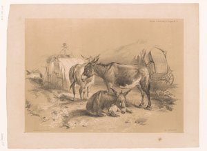 Étude de trois ânes - Pierre Frédéric Lehnert