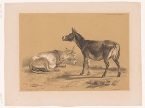 Étude de deux ânes