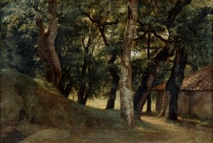 Forêt de la Villa Borghese, fin XVIIIe-début XIXe siècle - Pierre Henri de Valenciennes