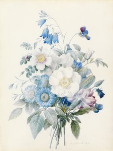 Asters bleus, rosa spinosissima (hybride), campanule, violettes, œillet et une rose sauvage