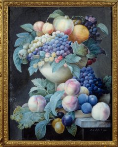 Raisins dans une coupe - Pierre Joseph Redouté