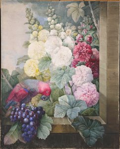 Rose trémières, raisins et un perroquet, 1836 - Pierre Joseph Redouté