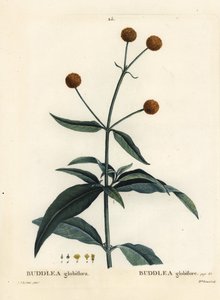 Arbre à boules d
