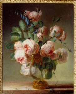 Le vase de fleurs Un bouquet de pivoines - Pierre Joseph Redouté