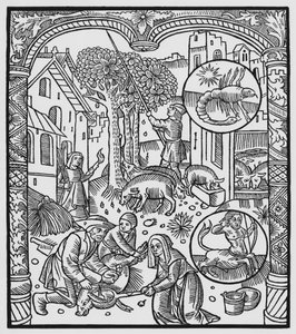 Novembre, tuer le cochon et récolter des glands, Scorpion, illustration de l