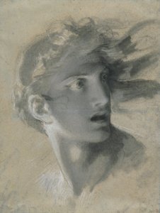 Tête de vengeance - Pierre Paul Prud