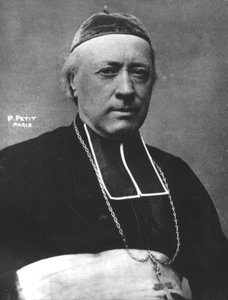 Monseigneur Freppel - Pierre Petit